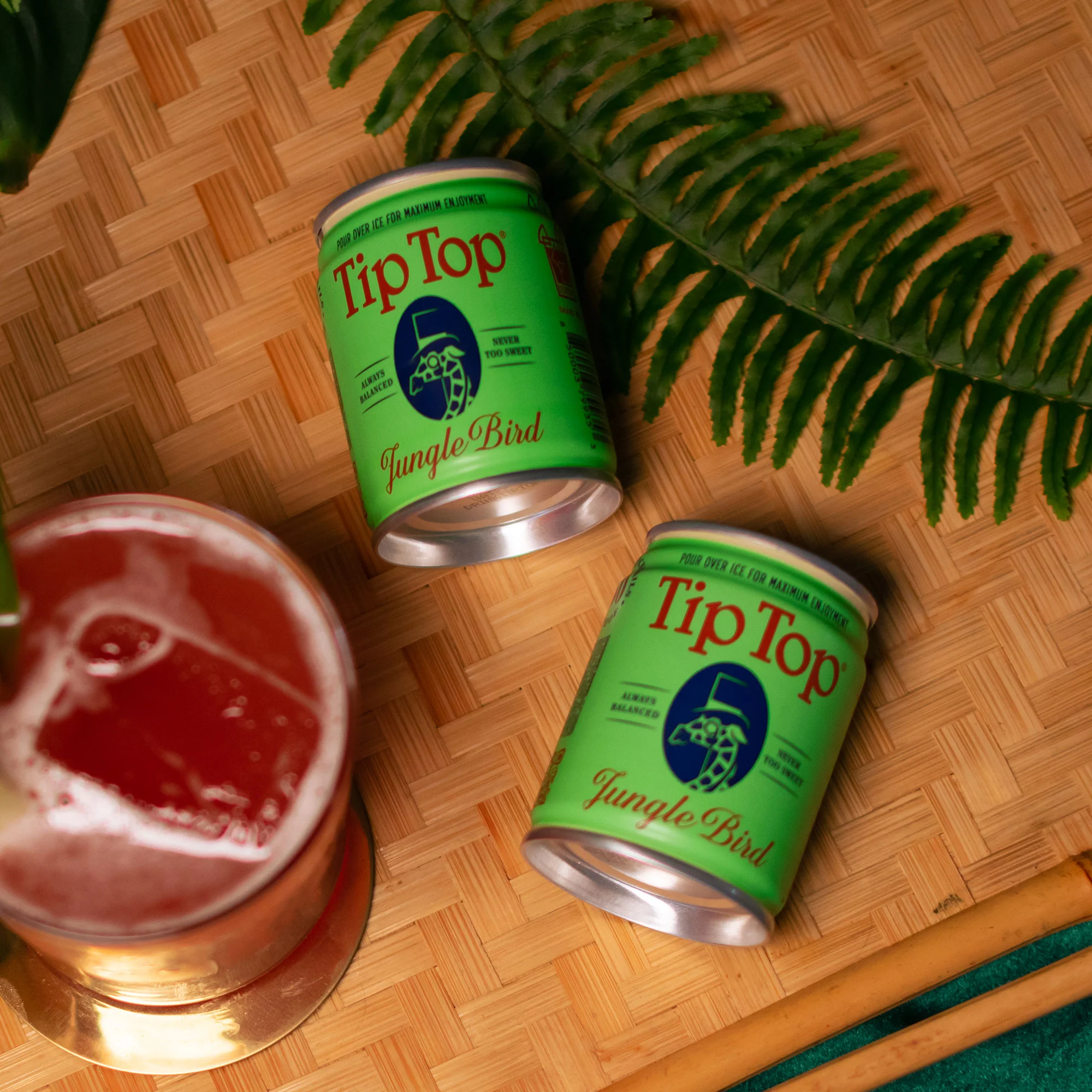 Jungle Bird - Image 3