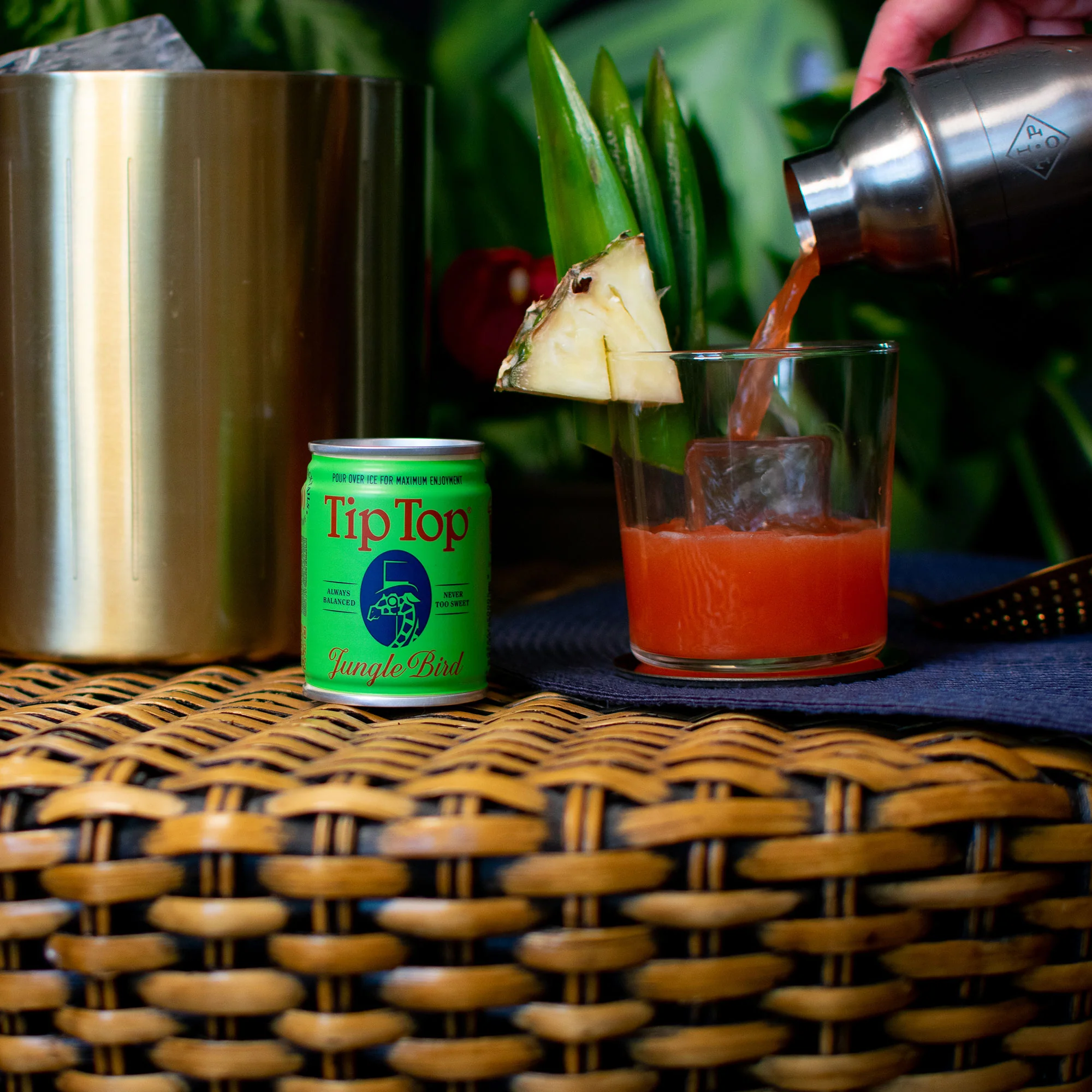 Jungle Bird - Image 4