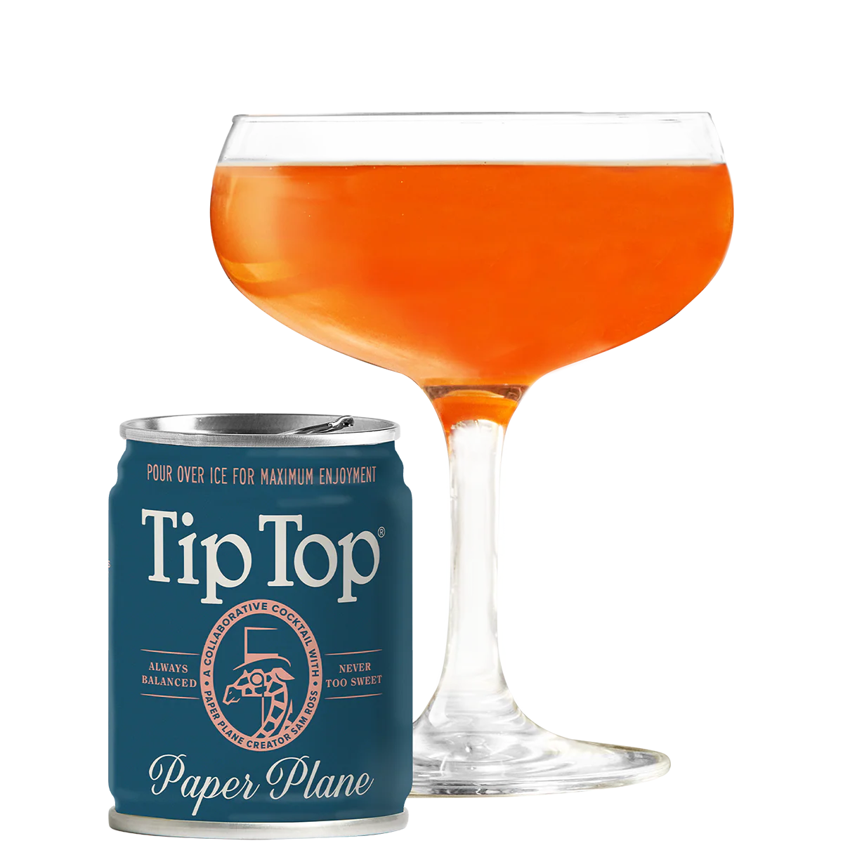 Paper Plane - Image 5